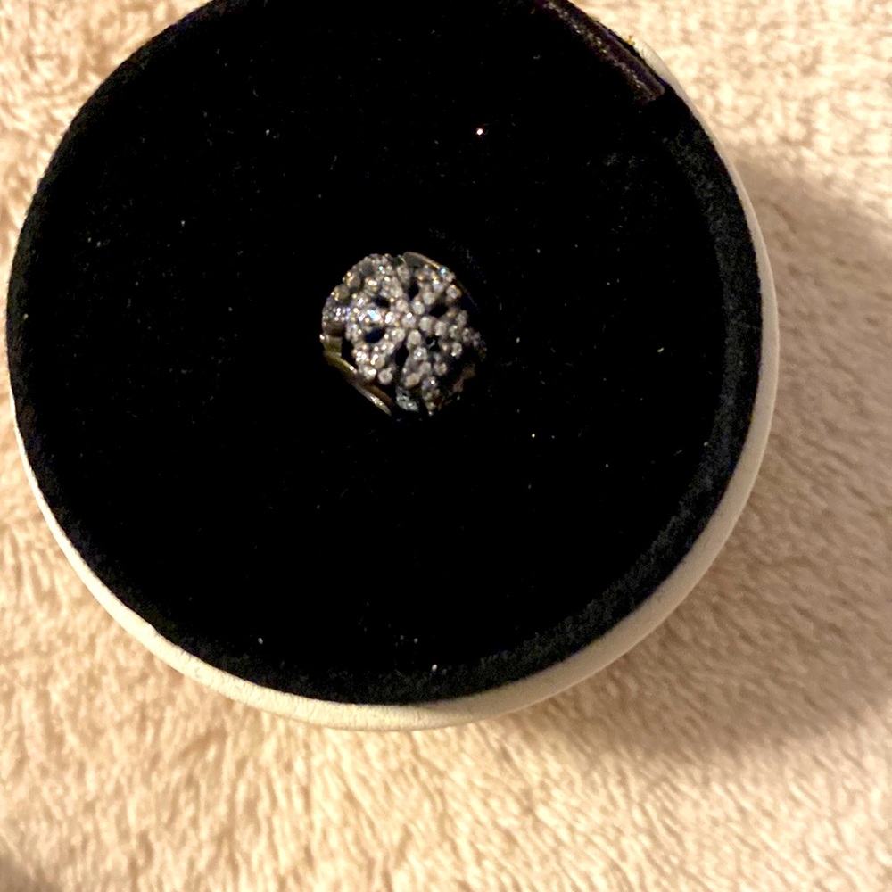 Pandora Bundle - image 3